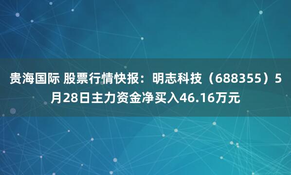 贵海国际 股票行情快报：明志科技（688355）5月28日主力资金净买入46.16万元