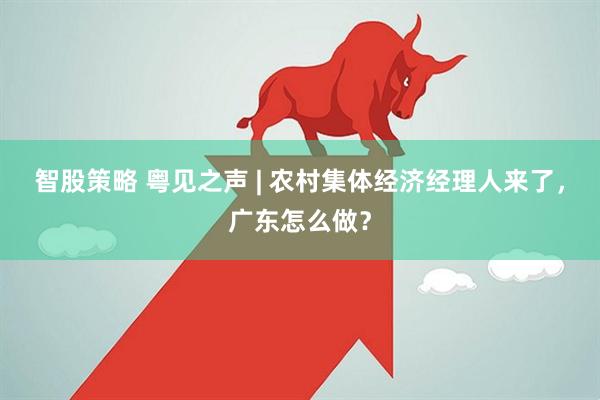 智股策略 粤见之声 | 农村集体经济经理人来了，广东怎么做？