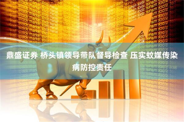 鼎盛证券 桥头镇领导带队督导检查 压实蚊媒传染病防控责任
